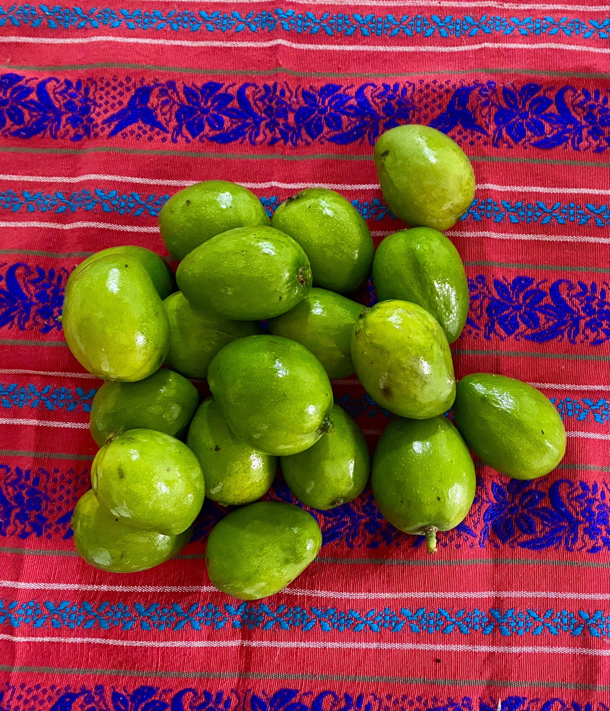 Gastronomía Costarricense 3