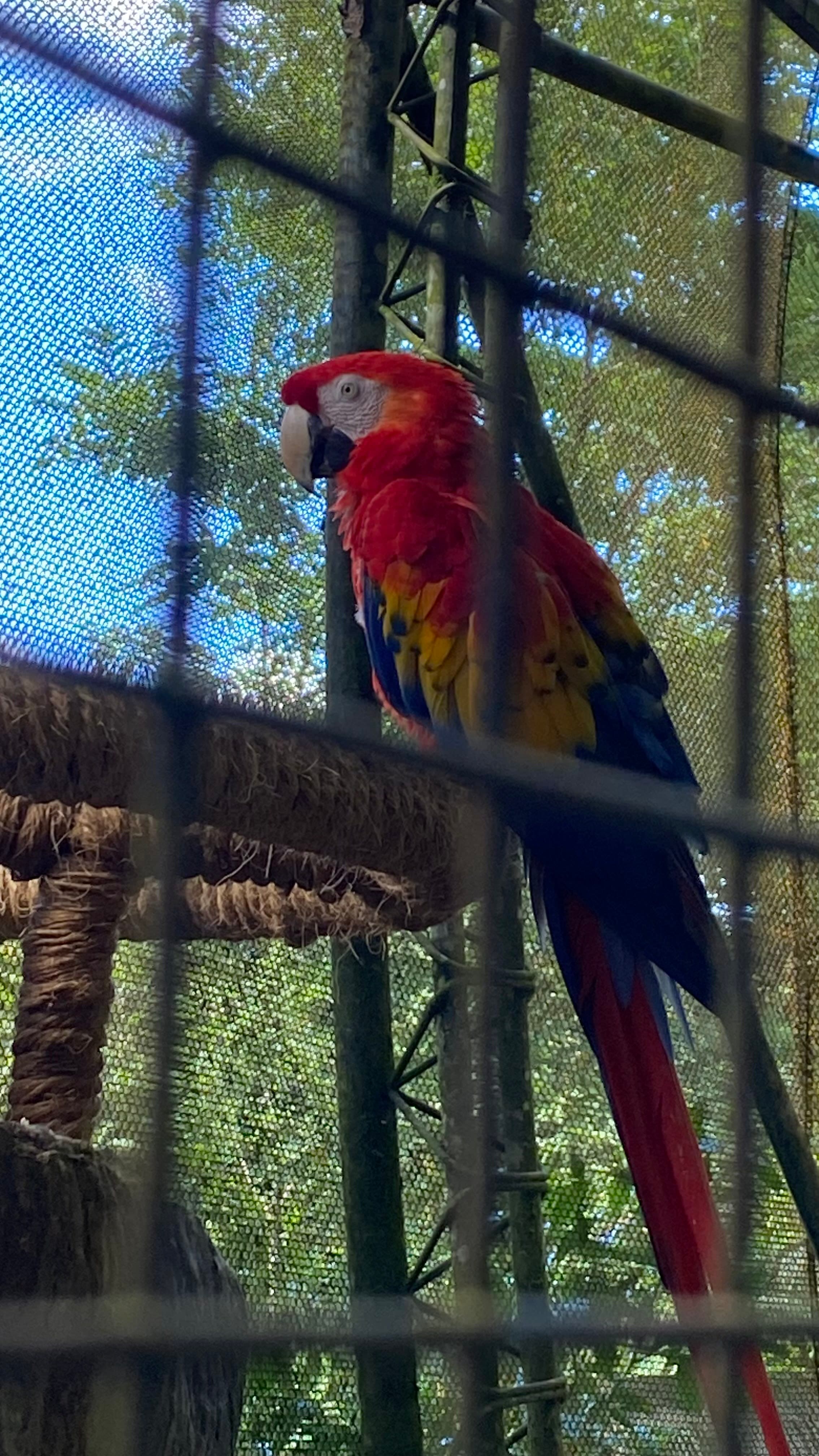 Cataratas La Paz 36