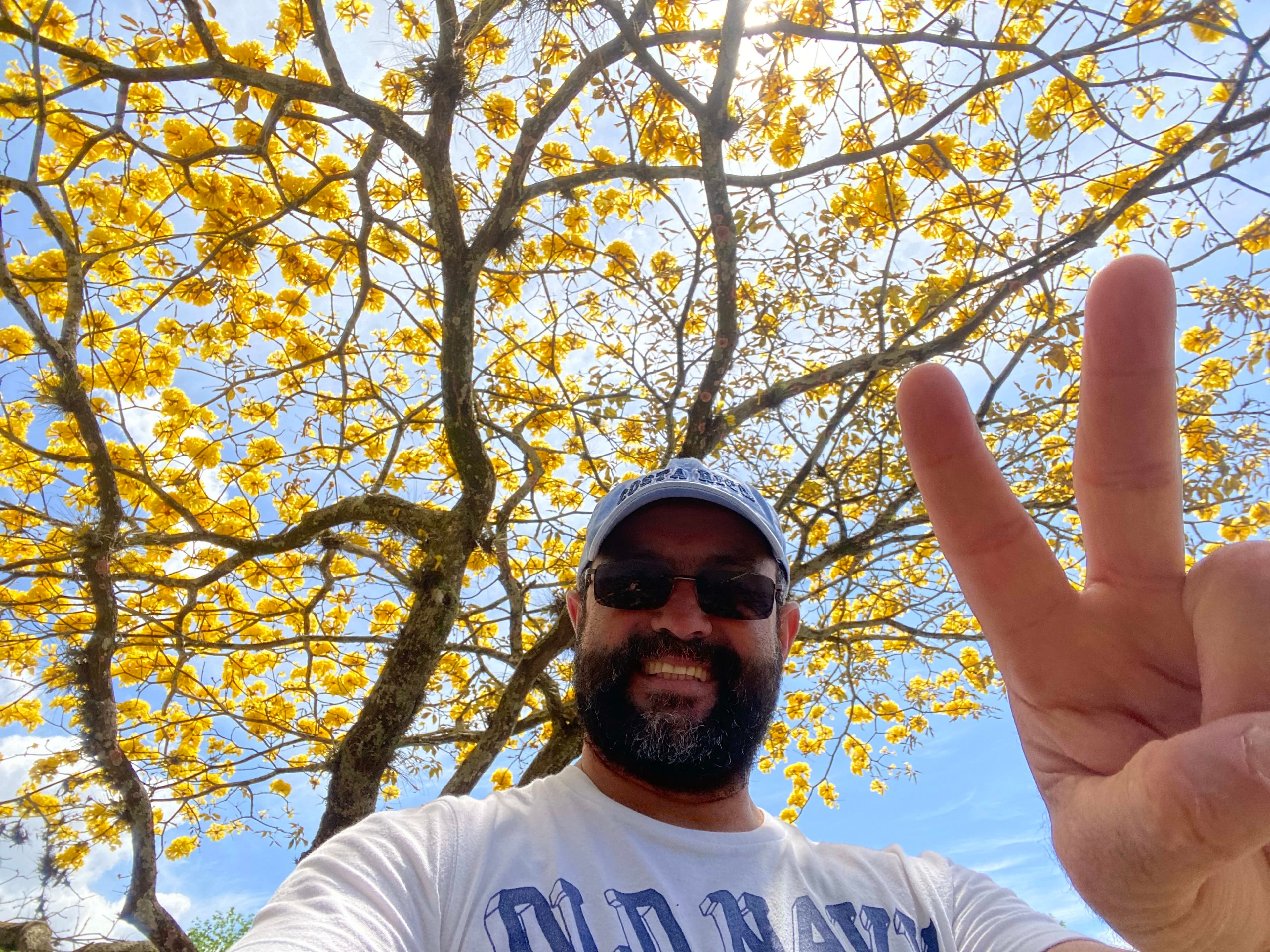 Árboles en Flor: Cortez, Roble y Jacaranda 9