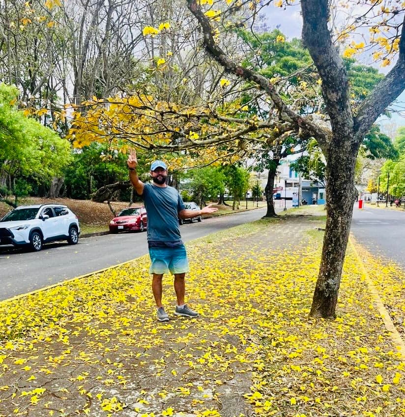 Árboles en Flor: Cortez, Roble y Jacaranda 7