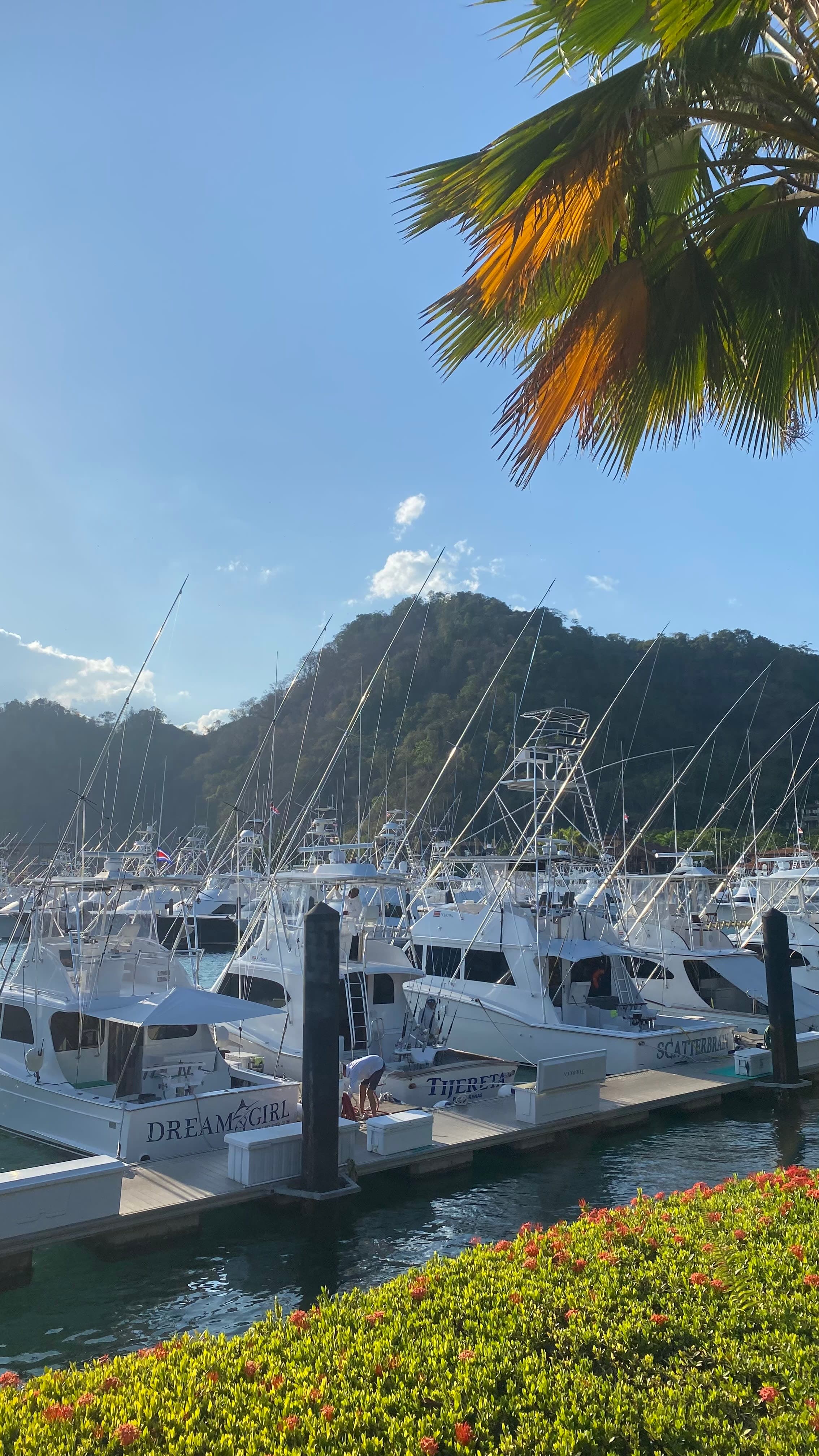 Marina Los Sueños 9
