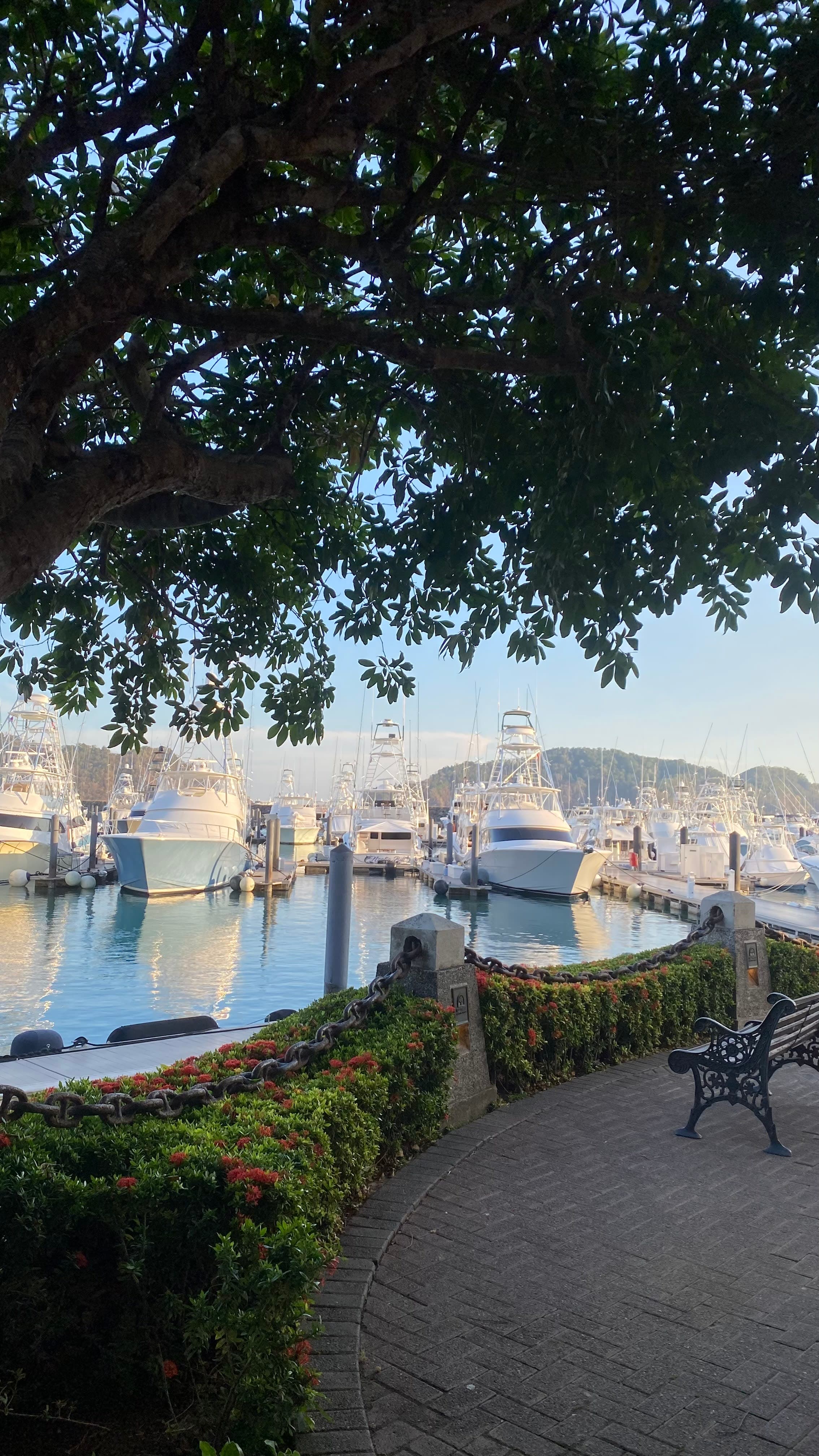 Marina Los Sueños 7