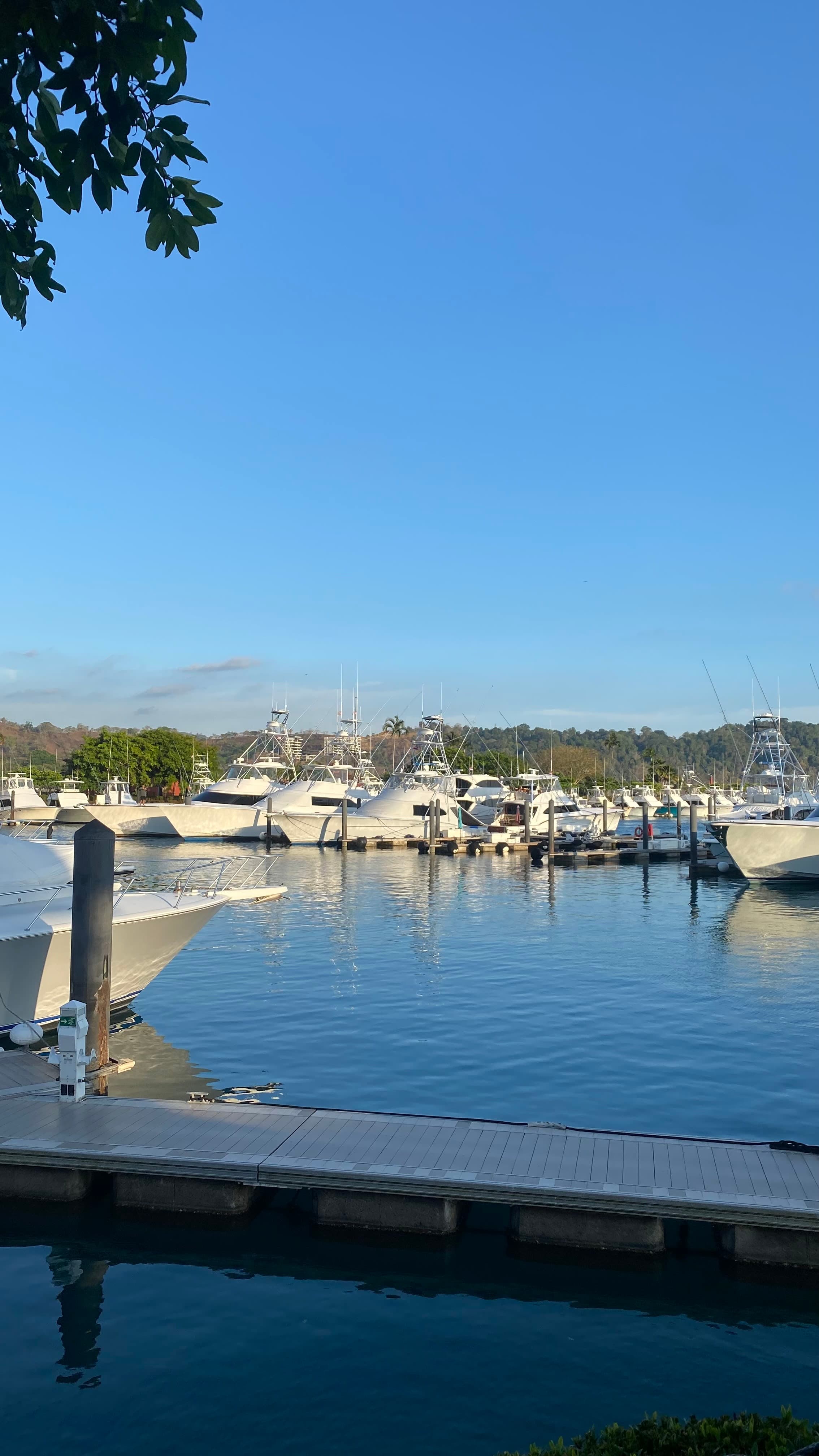 Marina Los Sueños 3